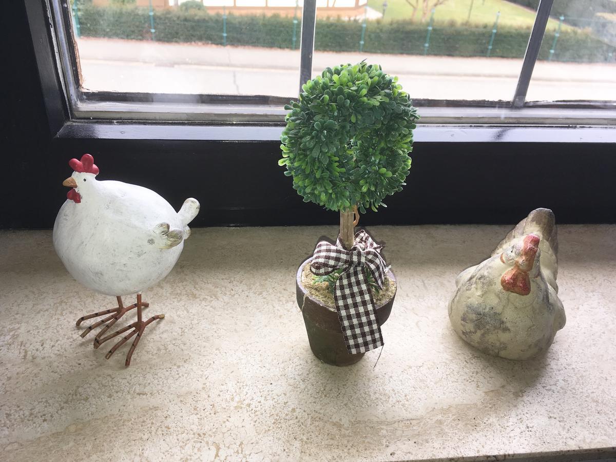 Ferienwohnung Will Walkenried 외부 사진